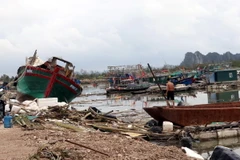 Tổng số tiền bảo hiểm chi trả thiệt hại về con người và tài sản ban đầu ước tính khoảng 7.000 tỷ đồng. (Ảnh: TTXVN)