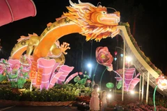 Đồng Tháp: Khai trương Đường Hoa Xuân thành phố Cao Lãnh