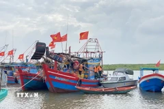 Ảnh minh họa. (Nguồn: TTXVN)