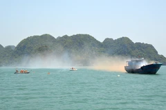 Ảnh minh họa. (Ảnh: TTXVN phát)