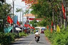 “Đường cờ Tổ quốc” tại xã Trường Xuân A, huyện Thới Lai vừa mới khánh thành. (Ảnh: TTXVN phát)