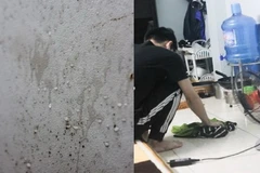 Hiện tượng nồm ẩm khiến tường, sản nhà đổ mồ hôi xảy ra phổ biến tại Hà Nội. (Ảnh: Ngọc Tân/Vietnam+)