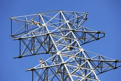 (Ảnh: Huy Hùng/TTXVN)