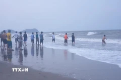 Ảnh minh họa. (Nguồn: TTXVN)