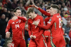 Xứ Wales liệu có vượt qua Ba Lan để giành vé dự EURO 2024? (Nguồn: Getty Images)