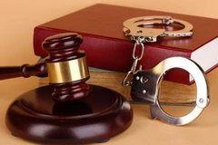 Lâm Đồng: Khởi tố cựu Phó trưởng BQL rừng phòng hộ vành đai biên giới