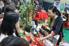 Các gian hàng trưng bày sâm thu hút đông đảo khách tham quan. (Ảnh: Thu Hương/TTXVN)