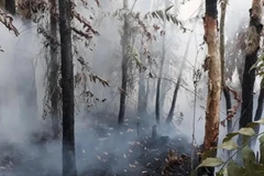 Hiện trường vụ cháy. (Nguồn: Báo Đại Đoàn kết)