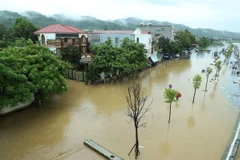 Đường Phạm Văn Xảo, phường Lào Cai, thành phố Lào Cai bị lũ tràn vào, ngập trong biển nước lúc 11g30 ngày 9/9. (Ảnh: Quốc Khánh/TTXVN)