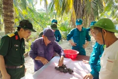 Tìm kiếm, quy tập hài cốt liệt sĩ tại nghĩa trang Hàng Me. (Ảnh TTXVN phát)