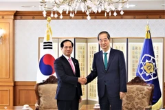 Thủ tướng Hàn Quốc Han Duck-soo tiếp Bộ trưởng Ngoại giao Bùi Thanh Sơn ngày 31/5. (Ảnh: Khánh Vân/TTXVN)