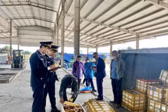 Lực lượng Hải quan Cửa khẩu cầu Bắc Luân II kiểm tra hàng hóa nhập khẩu tại bãi kiểm hóa. (Ảnh: TTXVN phát)