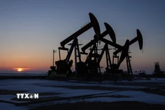 (Ảnh minh họa: TTXVN phát)