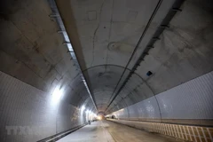 Ảnh minh họa. (Nguồn: TTXVN)