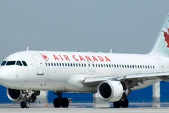 Ảnh minh họa. (Nguồn: Toronto Life)