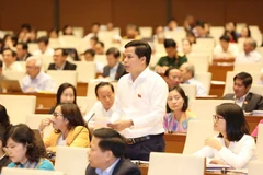 Đại biểu Quốc hội tỉnh Cao Bằng Bế Minh Đức phát biểu thảo luận. (Ảnh: Phương Hoa/TTXVN)