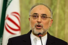 Ông Ali Akbar Salehi. (Nguồn: AFP)
