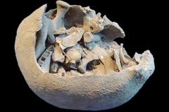 Các nhà khoa học phát hiện những dấu tích lâu đời minh chứng cho sự tồn tại những nghi thức tang lễ từ xa xưa (Nguồn: Diariolibre)