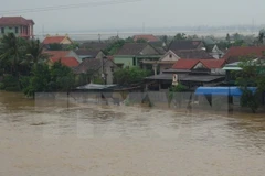 (Ảnh minh họa: Đức Thọ/TTXVN) 