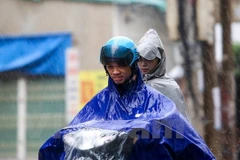 (Ảnh minh họa: Minh Sơn/Vietnam+)