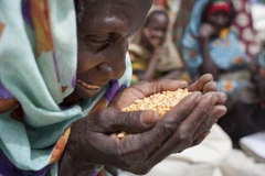 Ảnh minh họa. (Nguồn: Pinterest)