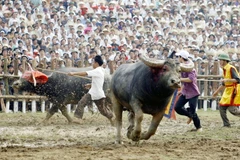 Ảnh chỉ có tính minh họa. (Nguồn: TTXVN)