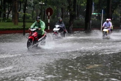 Ảnh minh họa. (Nguồn: TTXVN)