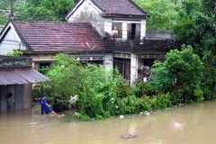 Ảnh minh họa. (Nguồn: TTXVN)