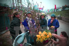 Ảnh minh họa. (Nguồn: TTXVN)