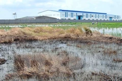 Ảnh minh họa. (Nguồn: TTXVN)