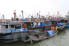 Tàu neo đậu tránh bão. (Ảnh minh họa. Nguồn: TTXVN)