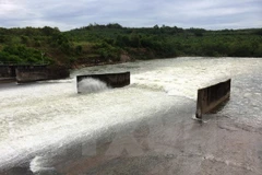 Ảnh chỉ có tính minh họa. (Ảnh: Phạm Thanh Tân/TTXVN)