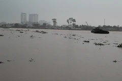 Một góc sông Đồng Nai. (Nguồn: TTXVN)