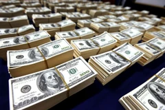 USD giả. (Nguồn: The Portugal News)