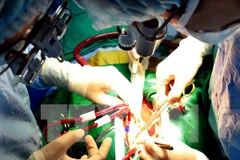 Ảnh minh họa. (Nguồn: TTXVN)