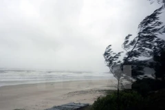 Ảnh minh họa. (Nguồn: TTXVN)