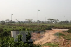 (Ảnh minh họa: Tuấn Anh/TTXVN)