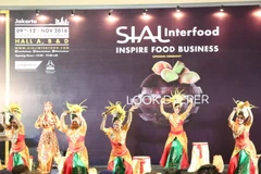 Biểu diễn nghệ thuật tại lễ khai mạc. (Ảnh: Đỗ Quyên/Vietnam+)