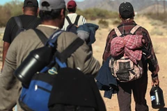 Ảnh minh họa. (Nguồn: patdollard.com)