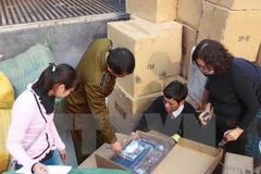 Ảnh chỉ có tính minh họa. (Nguồn: TTXVN)