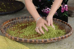 Ảnh minh họa. (Nguồn: TTXVN)