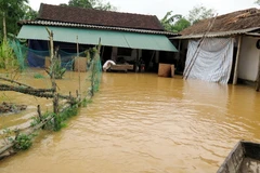 Nước ngập vào nhà dân thôn Phía Nam, xã Thạch Tân, huyện Thạch Hà, Hà Tĩnh. (Ảnh: Công Tường/TTXVN) 