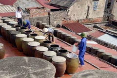 Sản xuất nước mắm. (Nguồn: TTXVN)