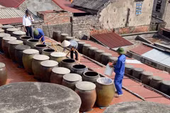 Sản xuất nước mắm. (Nguồn: TTXVN)