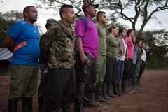 Các tay súng FARC tại một căn cứ ở Conejo, La Guajira, Colombia ngày 6/12. (Nguồn: EPA/TTXVN)