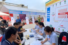 Tư vấn, giới thiệu việc làm cho người lao động. (Ảnh: PV/Vietnam+)