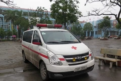 Ảnh minh họa. (Nguồn: TTXVN)