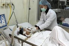 Ảnh minh họa. (Ảnh: TTXVN)