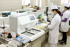 Ảnh minh họa. (Nguồn: TTXVN)