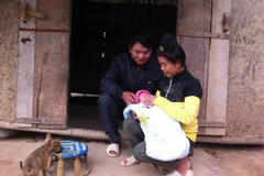 Hạnh phúc bình dị của một chàng thanh niên mắc HIV 